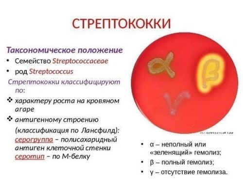 Хронический гломерулонефрит с изолированным мочевым синдромом у ребенка