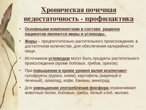 Хронический гломерулонефрит с изолированным мочевым синдромом у ребенка