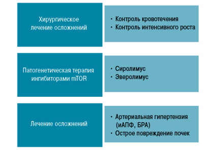 Ангиомиолипома почки